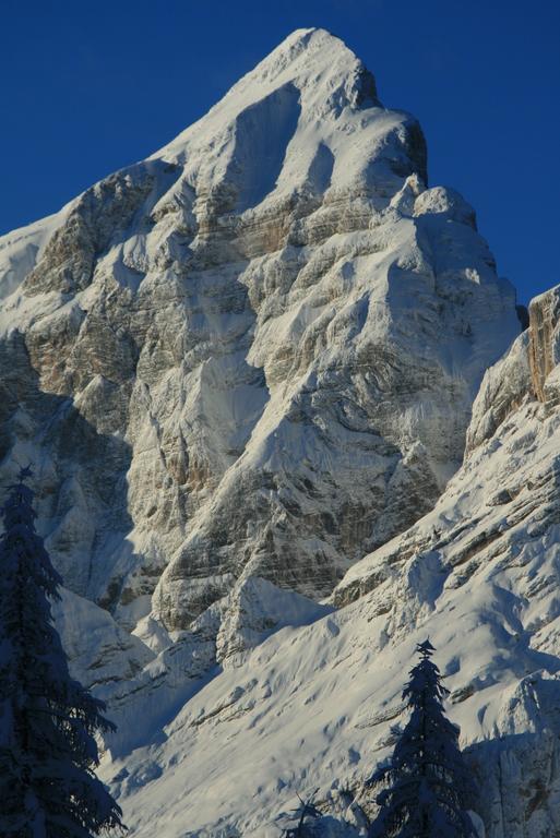 Rifugio Passo Staulanza Ξενοδοχείο Zoldo Alto Εξωτερικό φωτογραφία